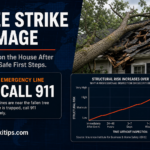 Tree Fell on the House After a Storm: Safe First Steps